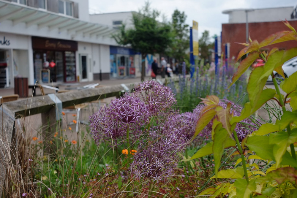 kenilworthtowncentre-flowers